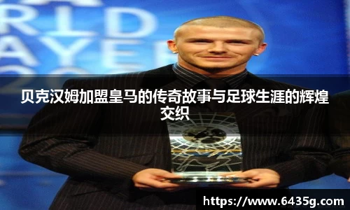 31399金沙娱场城在官网